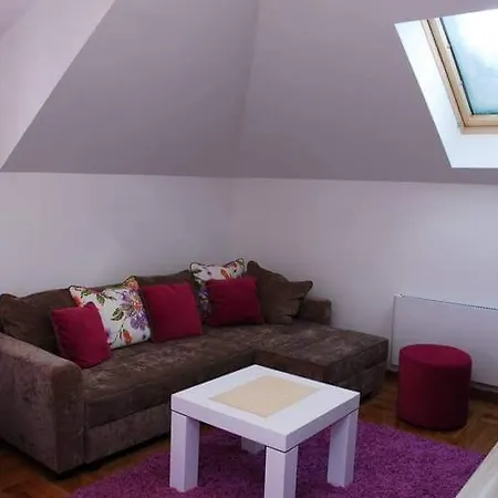 Petruljevic Apartment *